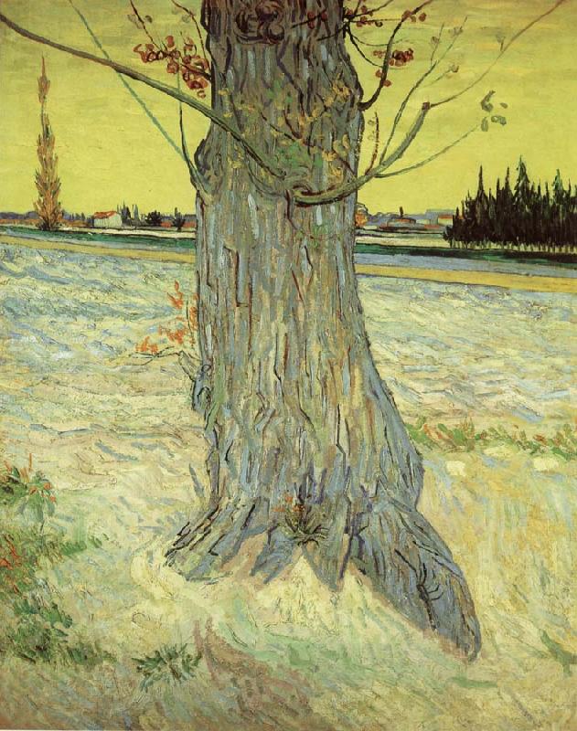 Vincent Van Gogh The Old yew tree China oil painting art